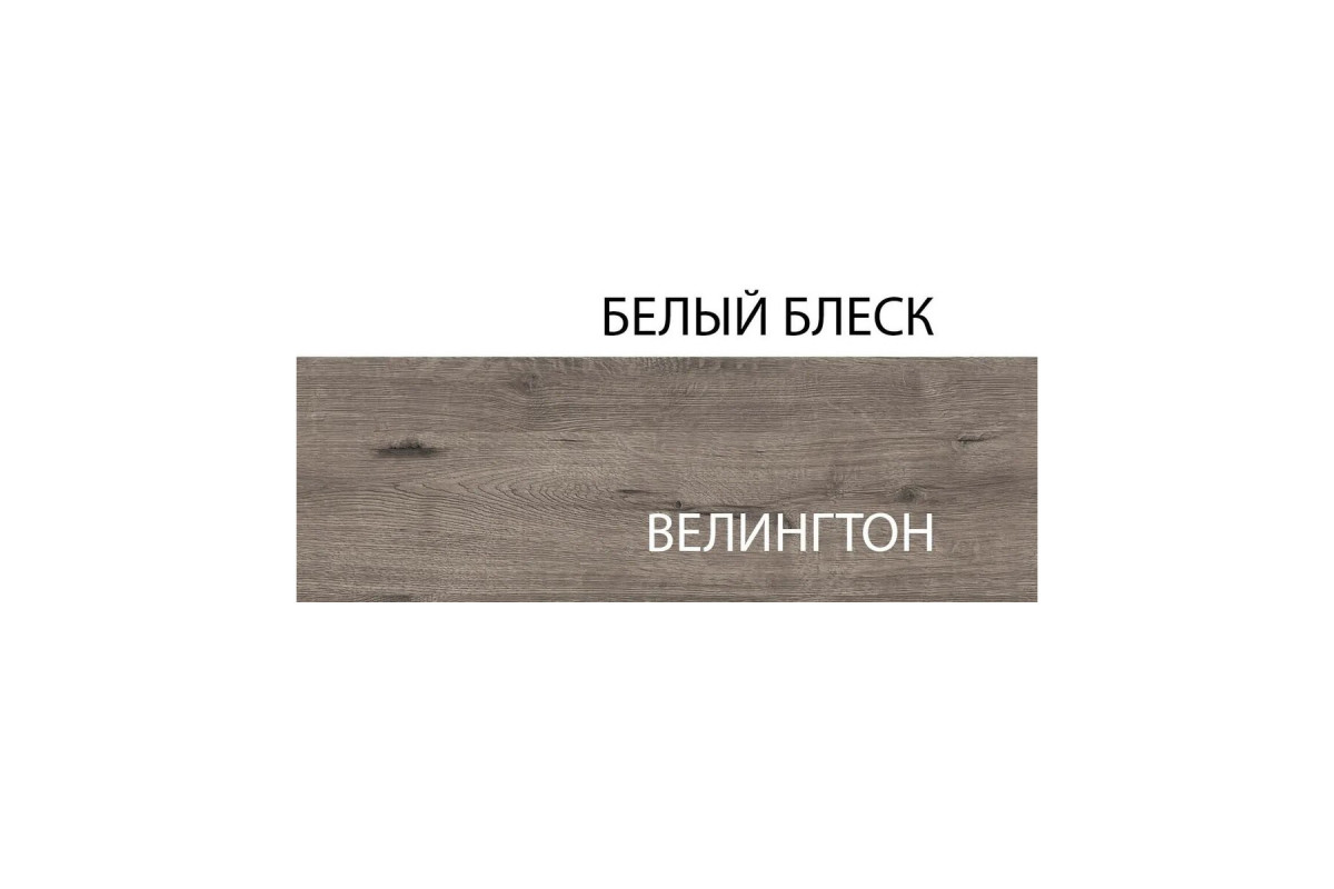 Шкаф 2DG, EVORA, цвет дуб веллингтон\белый Шкаф 2DG, EVORA, цвет дуб веллингтон\белый