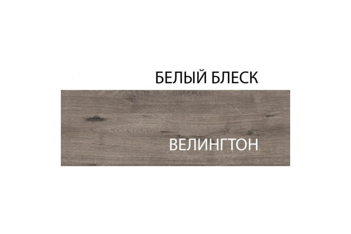 Шкаф 2DG, EVORA, цвет дуб веллингтон\белый Шкаф 2DG, EVORA, цвет дуб веллингтон\белый
