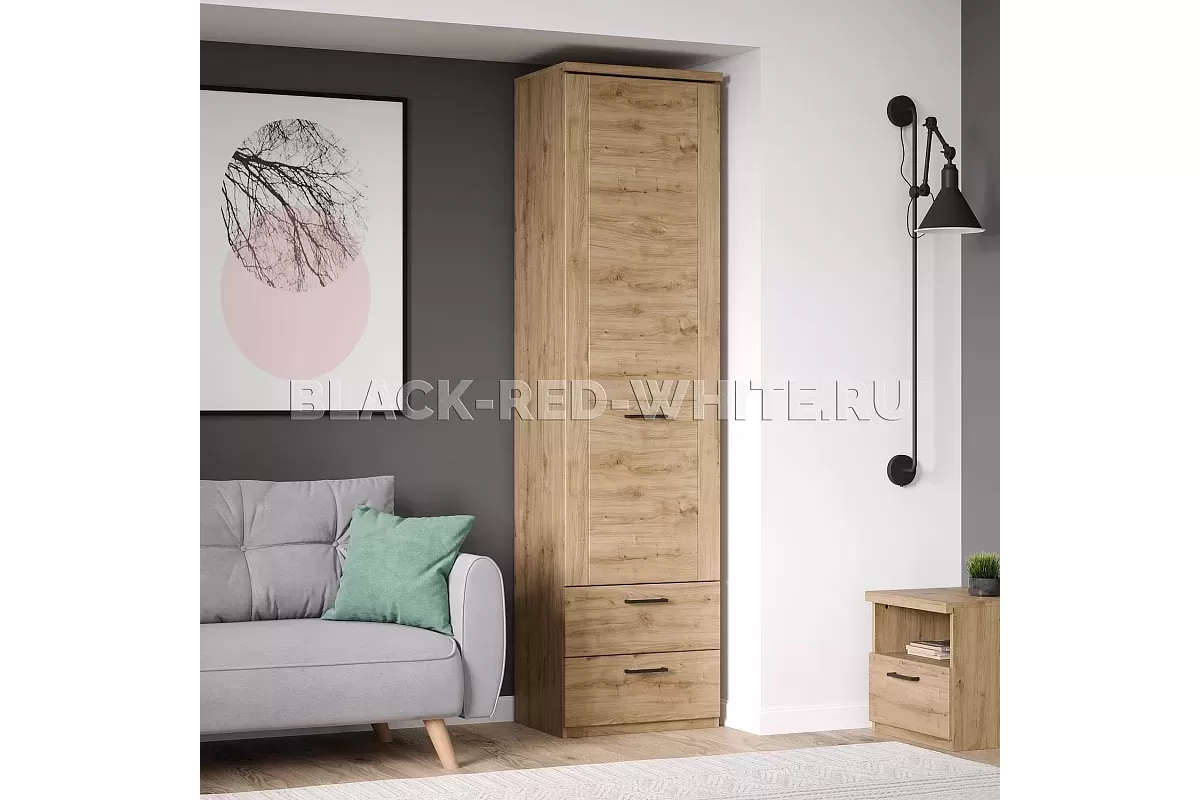 Шкаф Дорсет 1D2S Шкаф Дорсет 1D2S