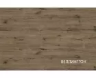 Шкаф с витриной Винати 1V1D P