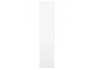 Дверь шкафа МОБИ (MOBI) с зеркалом L/50 L/P