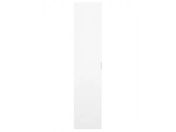 Дверь шкафа МОБИ (MOBI) с зеркалом L/50 L/P